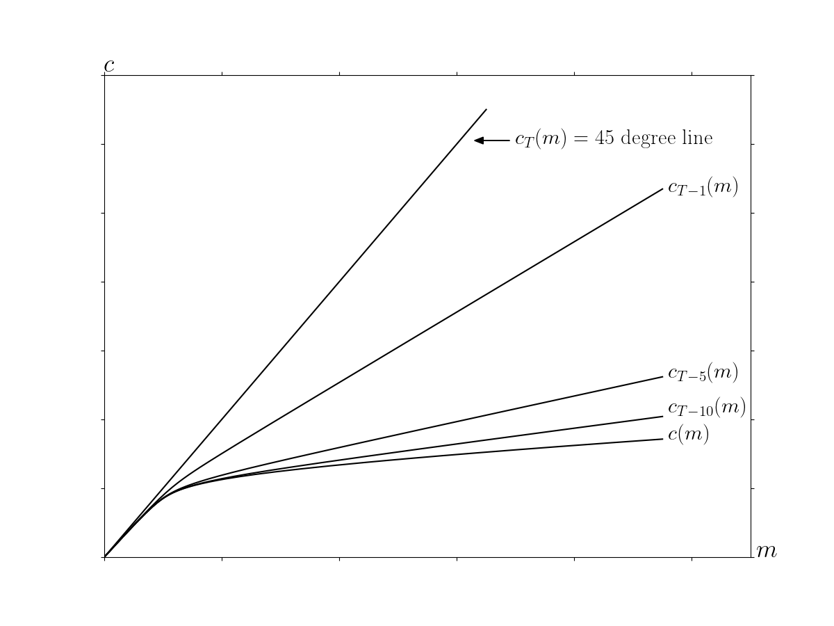 Convergence of the Consumption Rules