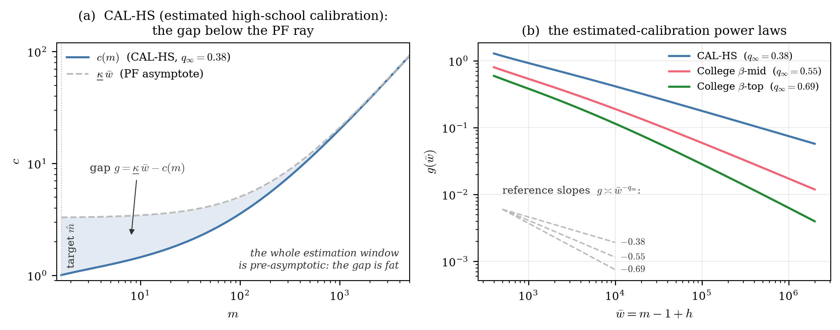 Left panel, the consumption function and its perfect-foresight asymptote visibly merging by m equals 5000 on a log scale, with the gap shaded; right panel, the gap versus wealth on log-log axes for the three estimated calibrations, each with its minus q_∞ reference slope.